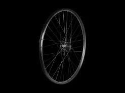 Trek Bikes Bontrager Approved TLR Dynamo 6-Bolt Disc 700c Wheel