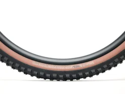 Trek Bikes Bontrager Brevard RSL SE TLR MTB Tire