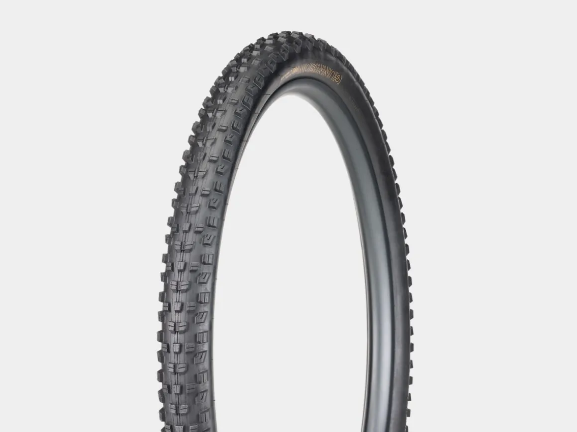 Trek Bikes Bontrager Gunnison Pro XR TLR MTB Tire