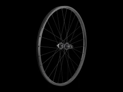 Trek Bikes Bontrager Kovee 25 TLR Boost Centerlock 29 MTB Wheel