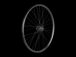 Trek Bikes Bontrager Kovee TLR 32 Hole 29" 6-Bolt Disc MTB Wheel