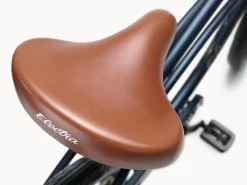 Trek Bikes Cruiser 1 Step-Over