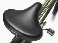 Trek Bikes Cruiser 1 Step-Over