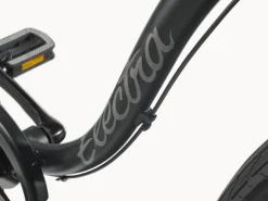 Trek Bikes Cruiser 7D Step-Over