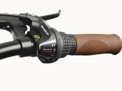 Trek Bikes Cruiser 7D Step-Over