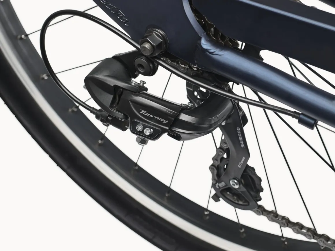 Trek Bikes Cruiser 7D Step-Over