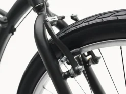 Trek Bikes Cruiser 7D Step-Over