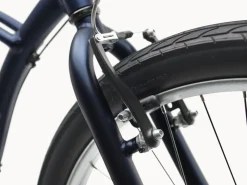 Trek Bikes Cruiser 7D Step-Over