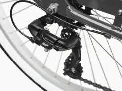 Trek Bikes Cruiser 7D Step-Thru