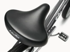 Trek Bikes Cruiser 7D Step-Thru