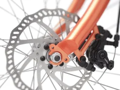 Trek Bikes Cruiser Go! Step-Thru