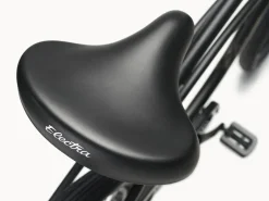 Trek Bikes Cruiser 3i Step-Over
