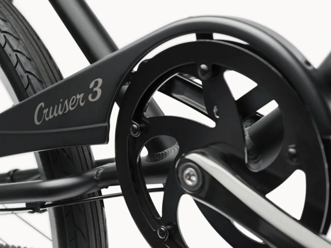 Trek Bikes Cruiser 3i Step-Over