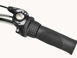 Trek Bikes Cruiser 3i Step-Thru