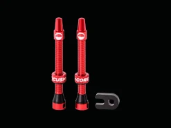 Trek Bikes CushCore Alloy Tubeless Presta Valves