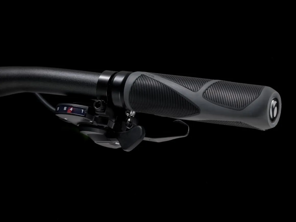 Trek Bikes Dual Sport 2 Gen 5