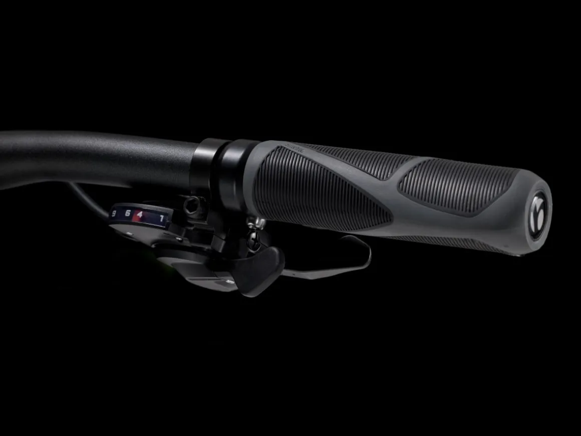 Trek Bikes Dual Sport 2 Gen 5