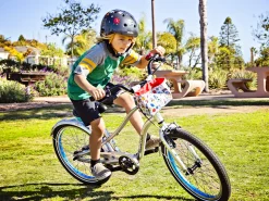 Kids Trek Bikes EBC 3000 Sprocket 20"