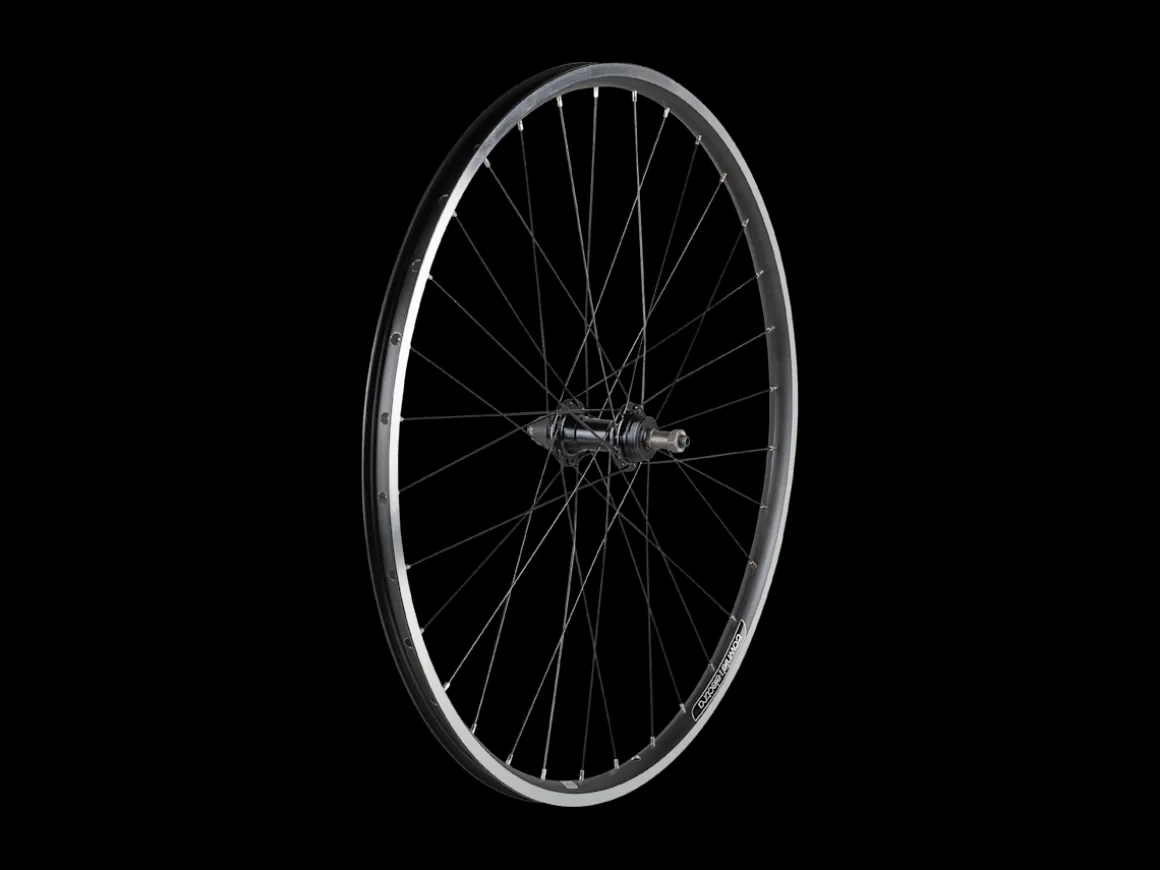 Trek Bikes Electra 2021 Townie 7D 26" Wheels