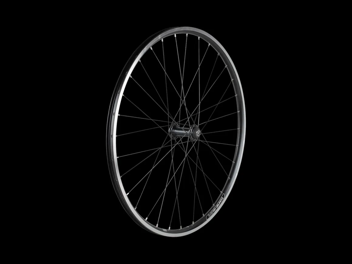 Trek Bikes Electra 2021 Townie 7D 26" Wheels