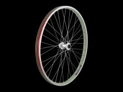 Trek Bikes Electra 2021 Townie Go! 5i 26" Wheels