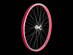 Trek Bikes Electra 2021 Townie Go! 5i 26" Wheels