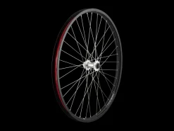 Trek Bikes Electra 2021 Townie Go! 5i 26" Wheels