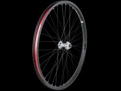 Trek Bikes Electra Ace Go! Wheels