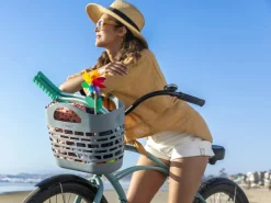 Trek Bikes Electra Plasket Basket