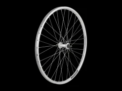 Trek Bikes Electra Townie 1 Rental 26" Wheel