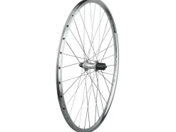 Trek Bikes Electra Townie Commute 8D Wheel