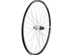 Trek Bikes Electra Townie Commute 8D Wheel