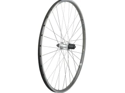Trek Bikes Electra Townie Commute 8D Wheel