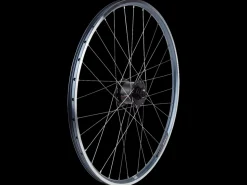 Trek Bikes Electra Townie 7D EQ 26" Wheel