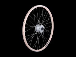 Trek Bikes Electra Townie 7D EQ 24" Wheel