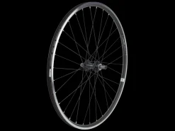 Trek Bikes Electra Townie 7D 26" Wheel