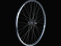 Trek Bikes Electra Townie 7D 26" Wheel