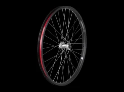 Trek Bikes Electra Townie Go! 8i Centerlock Disc 26" Wheel