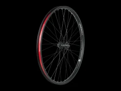 Trek Bikes Electra Townie Go! 8i Centerlock Disc 26" Wheel