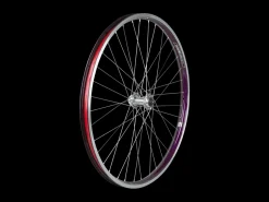 Trek Bikes Electra Townie Go! 8i Centerlock Disc 26" Wheel