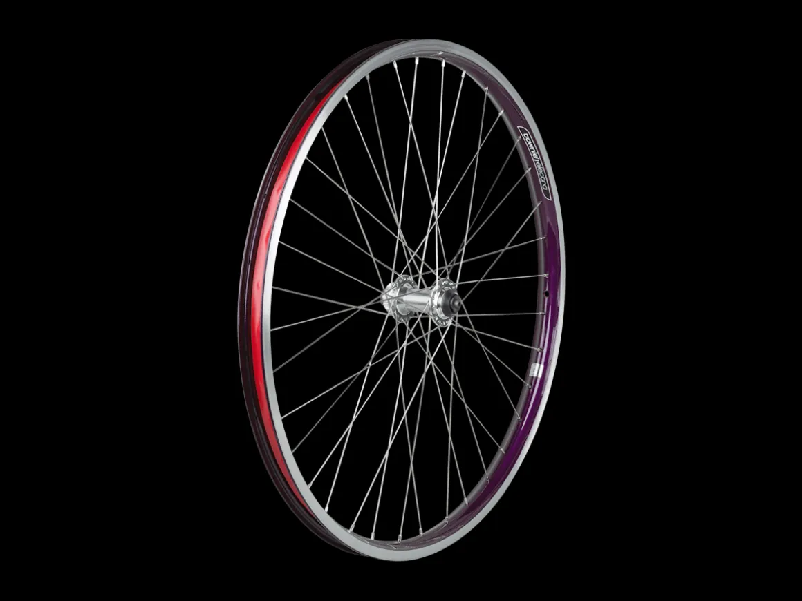 Trek Bikes Electra Townie Go! 8i Centerlock Disc 26" Wheel