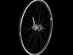 Trek Bikes Electra Townie 3i EQ 26" Wheel