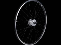 Trek Bikes Electra Townie 3i EQ 26" Wheel