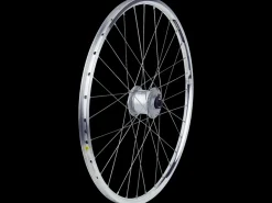 Trek Bikes Electra Townie 3i EQ 26" Wheel