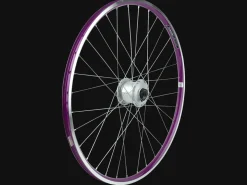 Trek Bikes Electra Townie 3i EQ 26" Wheel