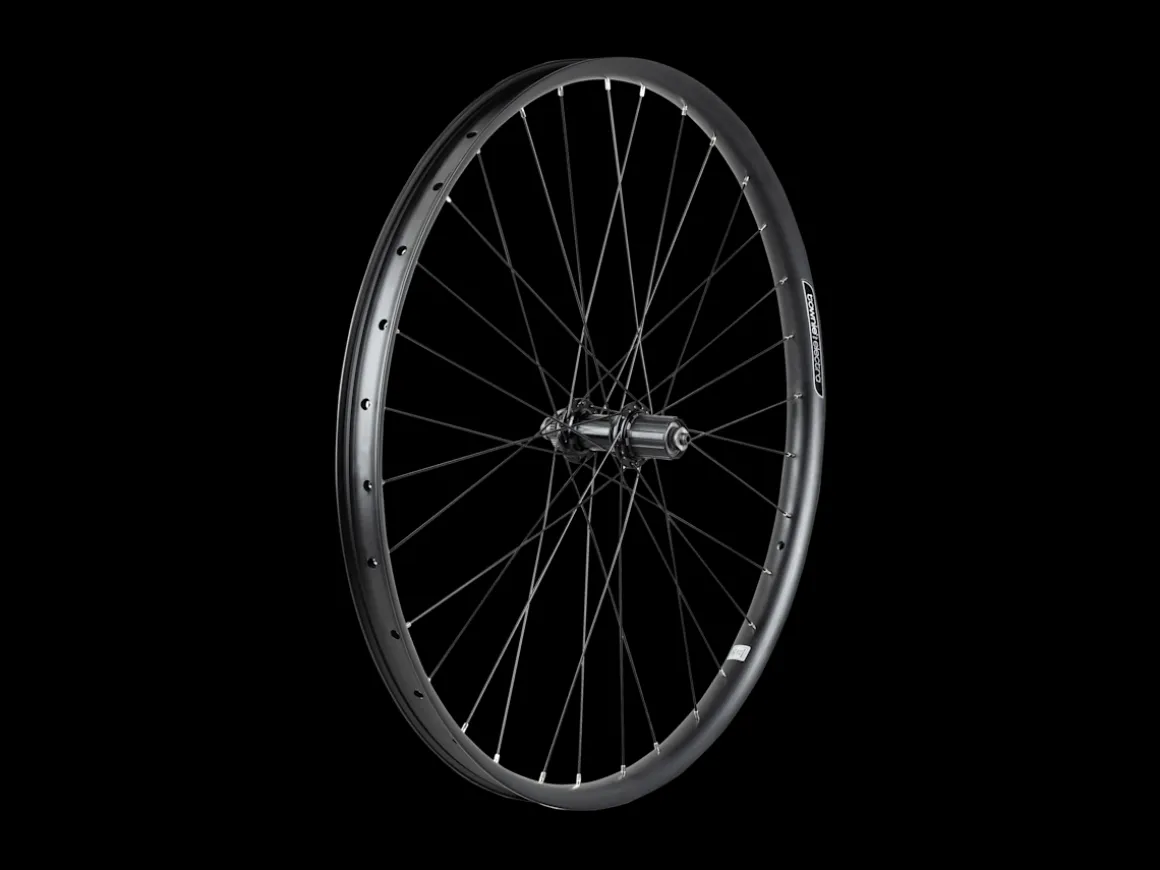 Trek Bikes Electra Townie Path 9D EQ Centerlock Disc 27.5" Wheel
