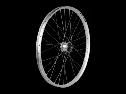 Trek Bikes Electra Townie Path EQ 6-Bolt Disc 27.5" Wheels