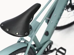 Trek Bikes Loft Go! 7D EQ Step-Over