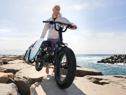 Trek Bikes Ponto Go!
