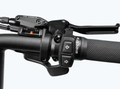 Trek Bikes Ponto Go!
